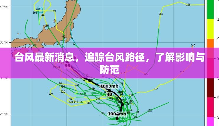 臺風最新消息，追蹤臺風路徑，了解影響與防范