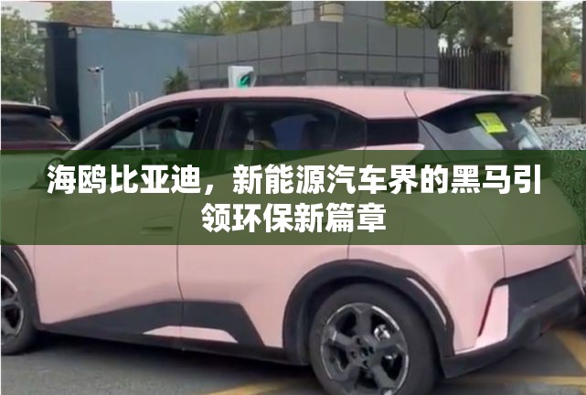 海鷗比亞迪，新能源汽車(chē)界的環(huán)保先鋒