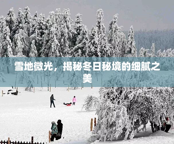 冬日秘境，雪地微光下的細(xì)膩之美