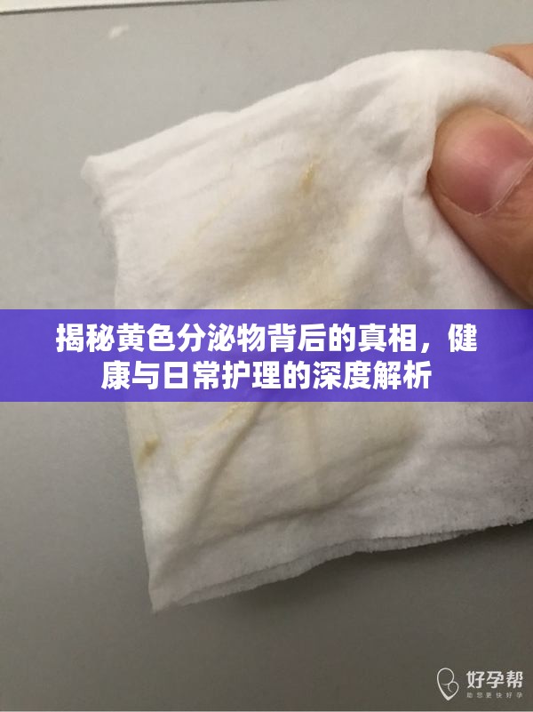 揭秘黃色分泌物背后的真相，健康與日常護(hù)理的深度解析