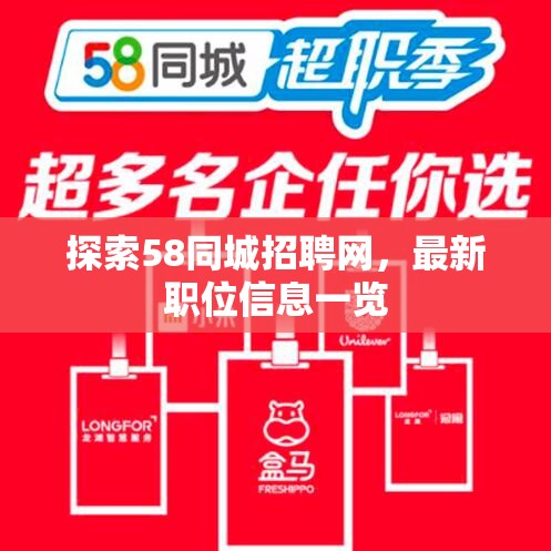 58同城招聘網，最新職位信息速覽