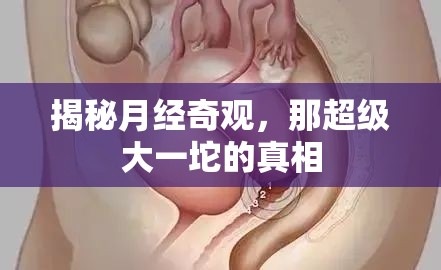 揭秘月經(jīng)奇觀，那超級大一坨的真相