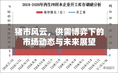豬市風(fēng)云，供需博弈下的市場(chǎng)動(dòng)態(tài)與未來(lái)展望