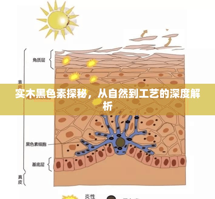 實(shí)木黑色素探秘，從自然到工藝的深度解析