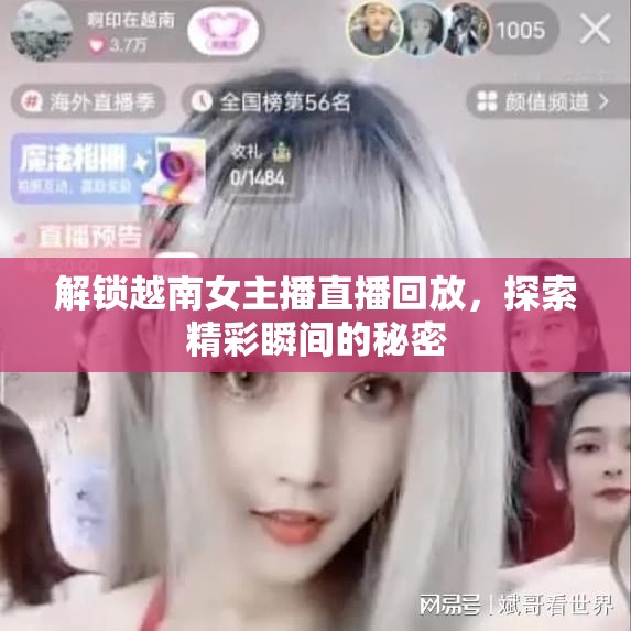 揭秘越南女主播，直播回放的精彩瞬間