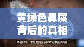 黃綠色鼻屎背后的真相，健康警報(bào)與日常護(hù)理指南