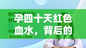 孕早期出血，揭示原因與科學(xué)處理方法