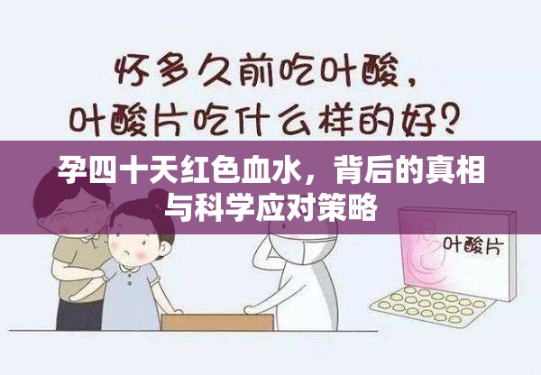 孕早期出血，揭示原因與科學(xué)處理方法