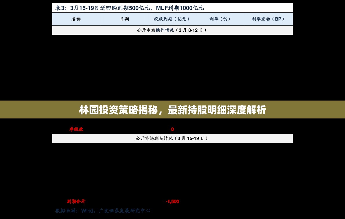 林園投資策略深度解析，最新持股明細揭秘