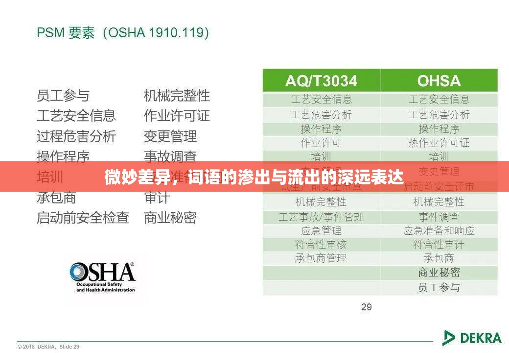 語言的微妙，詞語的深層表達(dá)與情感滲透