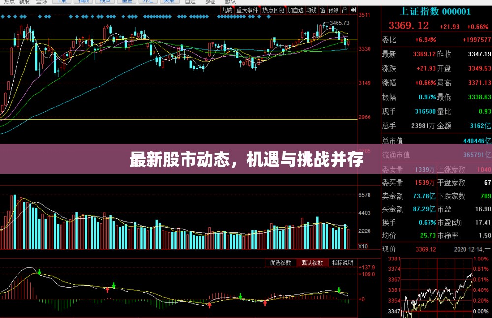 股市風(fēng)云，把握機遇，應(yīng)對挑戰(zhàn)