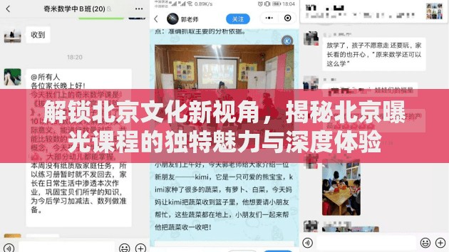 探索北京，揭秘文化課程的非凡魅力與深度體驗(yàn)