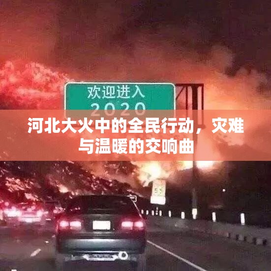 河北大火中的全民行動，災(zāi)難與溫暖的交響曲