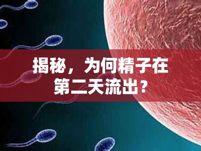 揭秘，為何精子在第二天流出？