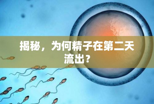 揭秘，為何精子在第二天流出？