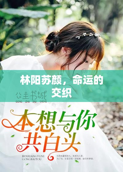 林陽蘇顏，命運(yùn)的交織