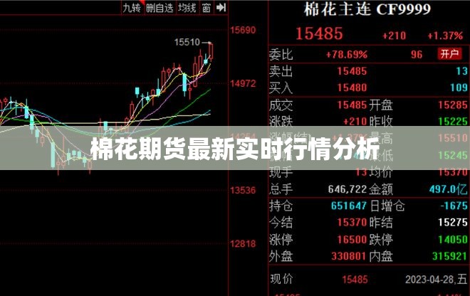 棉花期貨市場動態(tài)，實時行情深度解析