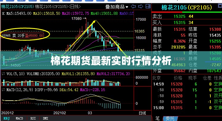 棉花期貨市場動態(tài)，實時行情深度解析