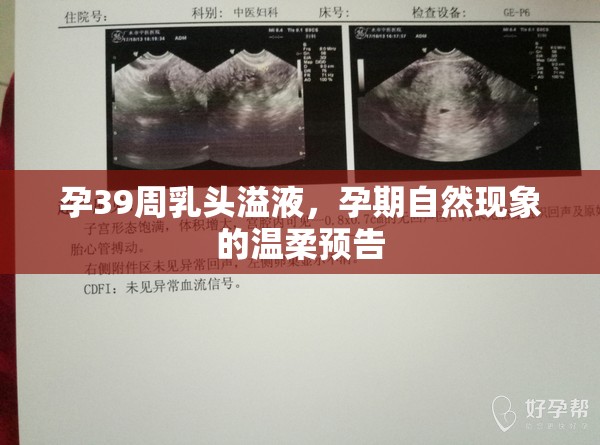 孕晚期乳頭溢液，孕期自然變化的溫馨信號