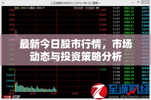 今日股市快訊，行情概覽、市場動態(tài)及投資策略深度解析