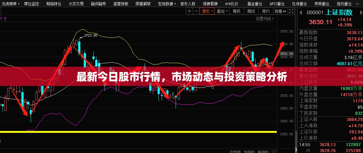 最新今日股市行情，市場動態(tài)與投資策略分析