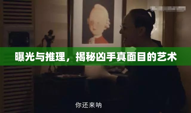 揭露真相，犯罪推理的藝術(shù)與技巧