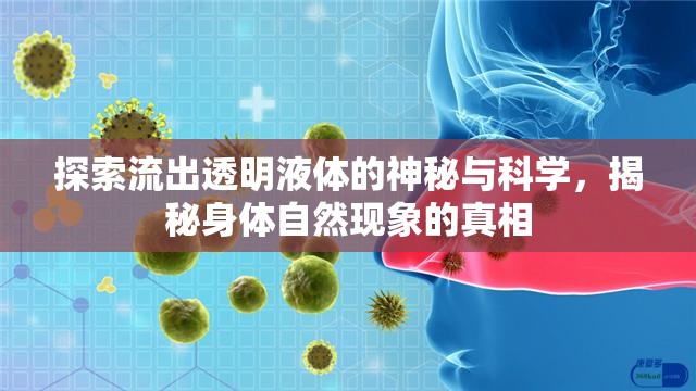 揭秘透明液體流出，身體自然現(xiàn)象的科學(xué)探索