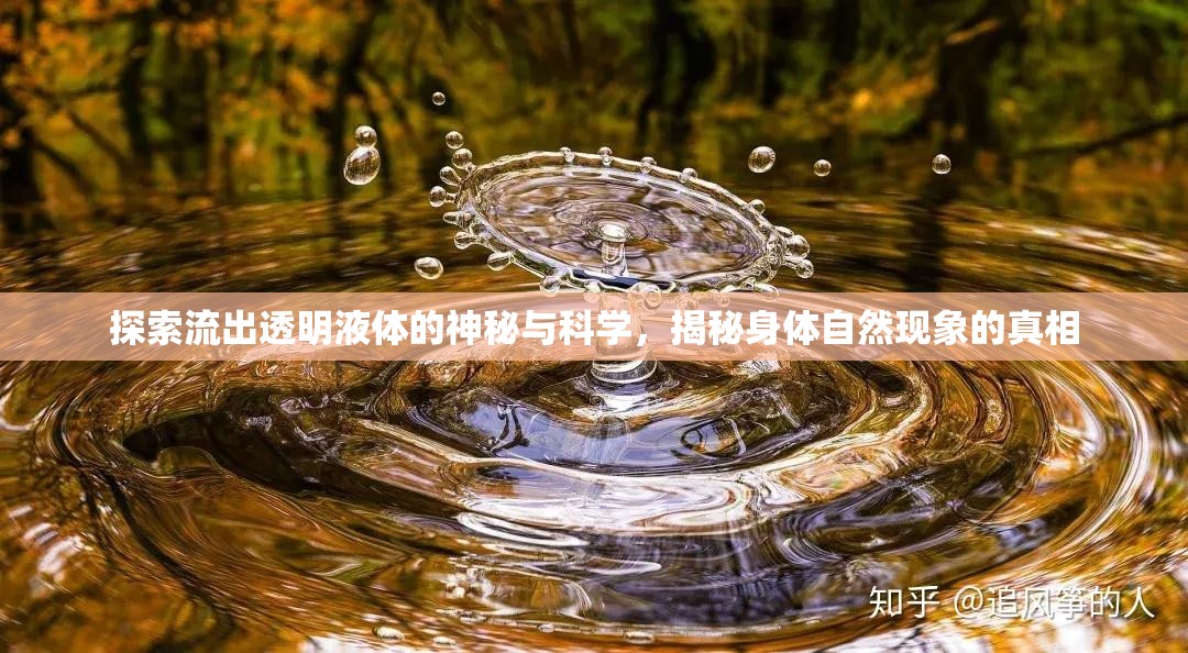 揭秘透明液體流出，身體自然現(xiàn)象的科學(xué)探索