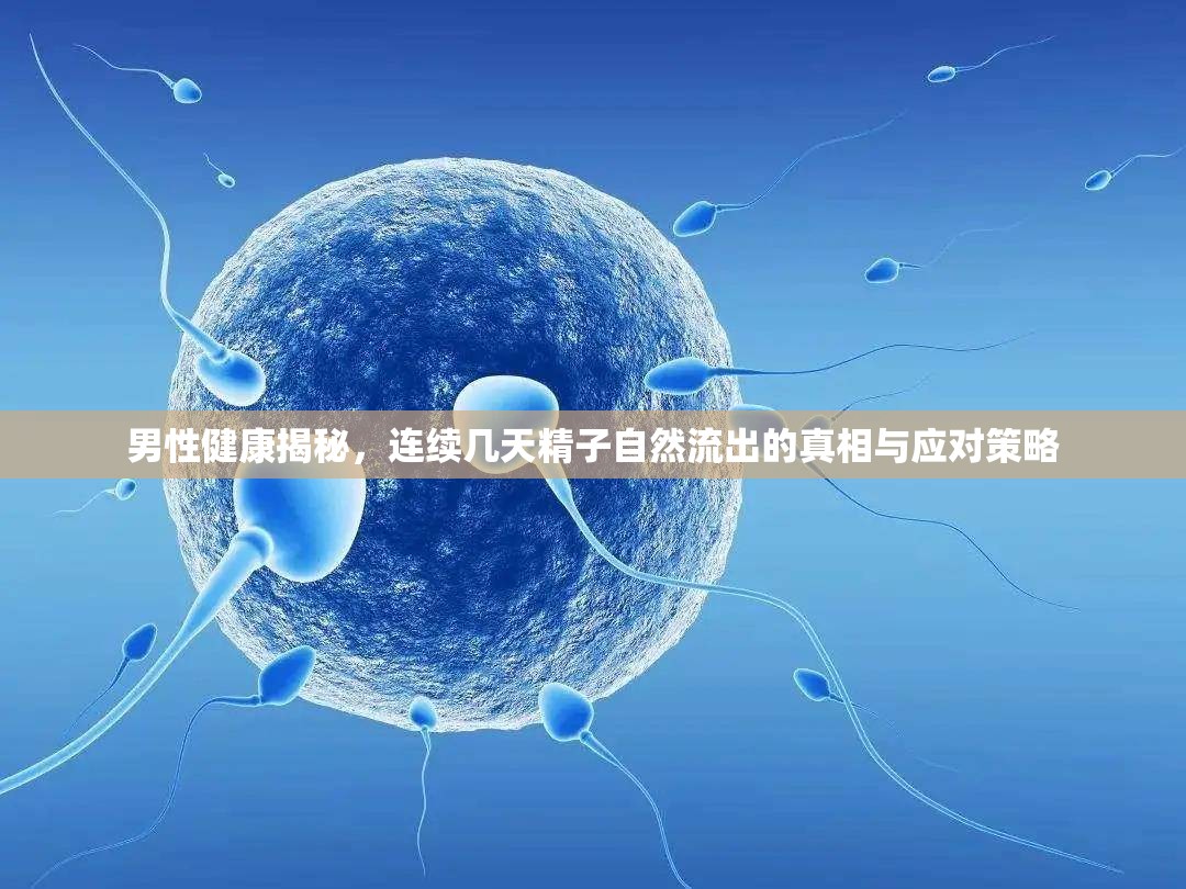 男性健康揭秘，連續(xù)精子自然流出的原因及應對方法