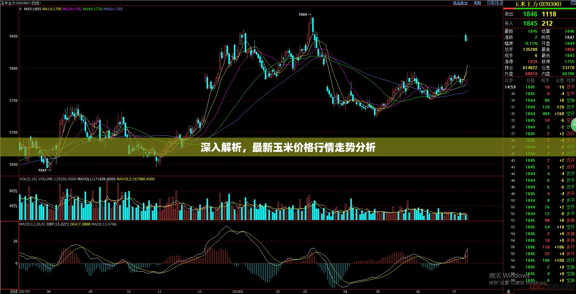 玉米市場(chǎng)動(dòng)態(tài)，最新價(jià)格走勢(shì)深度解析