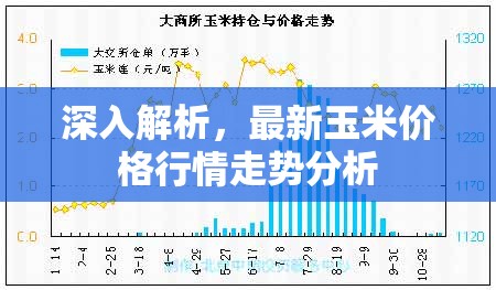 玉米市場(chǎng)動(dòng)態(tài)，最新價(jià)格走勢(shì)深度解析