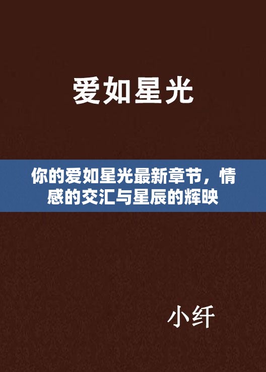 星光下的情感交織，你的愛如星光最新章節(jié)賞析