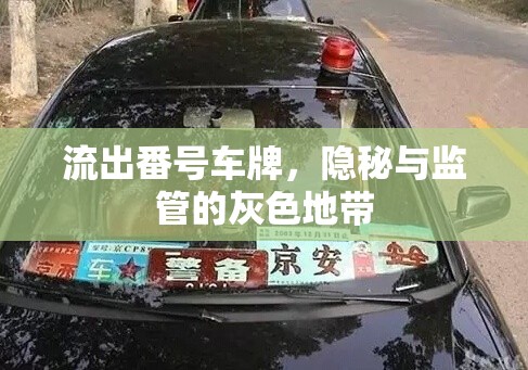 車牌隱私與監(jiān)管，探索灰色地帶