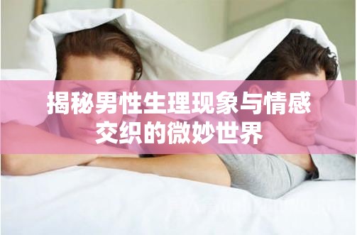 揭秘男性生理現(xiàn)象與情感交織的微妙世界