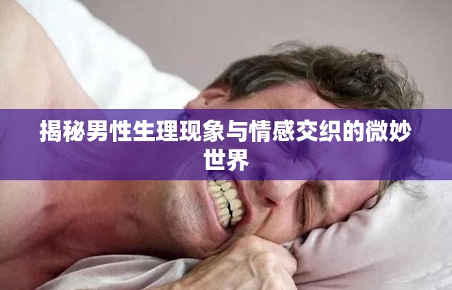 男性生理與情感，探索交織的微妙世界