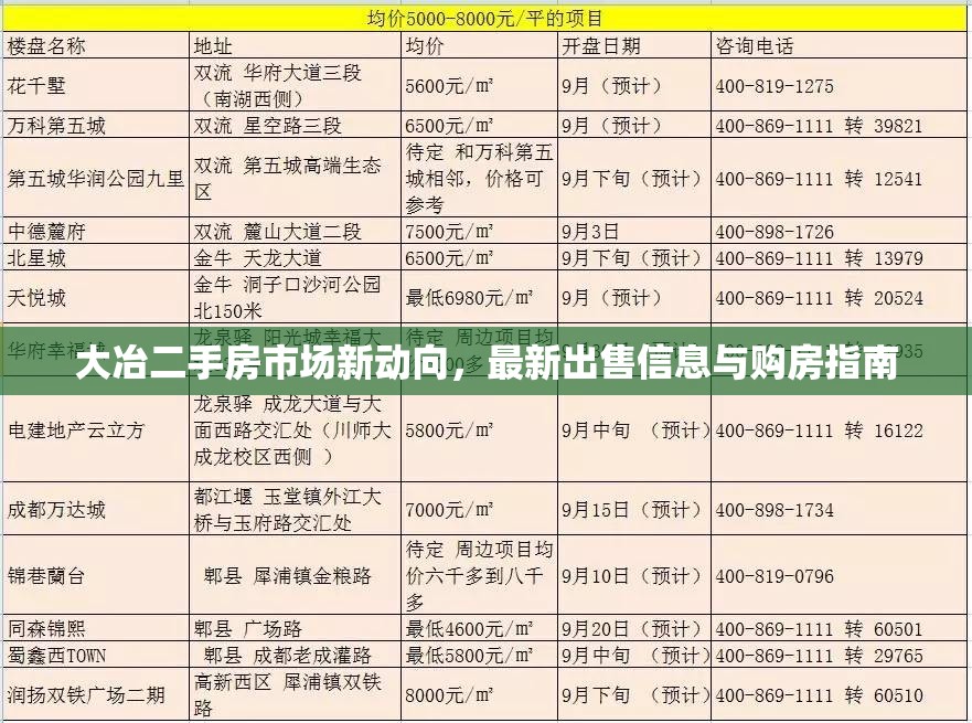 大冶二手房市場新動向，最新出售信息與購房指南