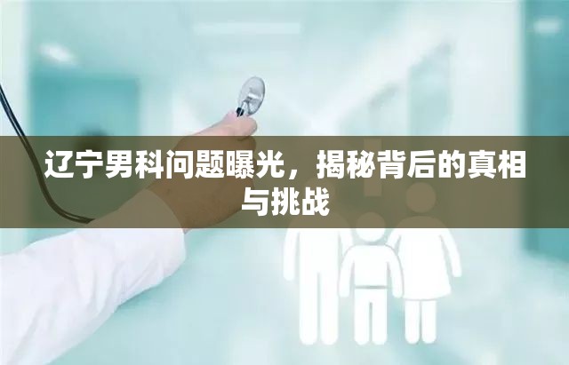 遼寧男科問(wèn)題曝光，揭秘背后的真相與挑戰(zhàn)