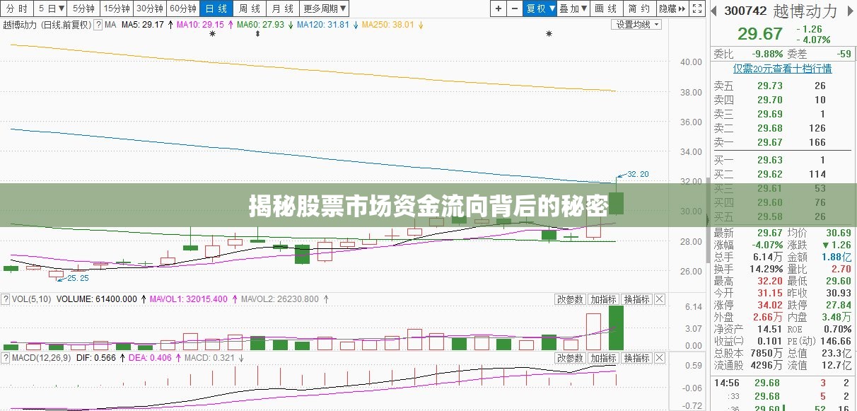 股票市場(chǎng)資金流向揭秘，背后的真相