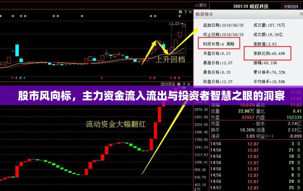 股市洞察，主力資金動向與投資者智慧的交匯