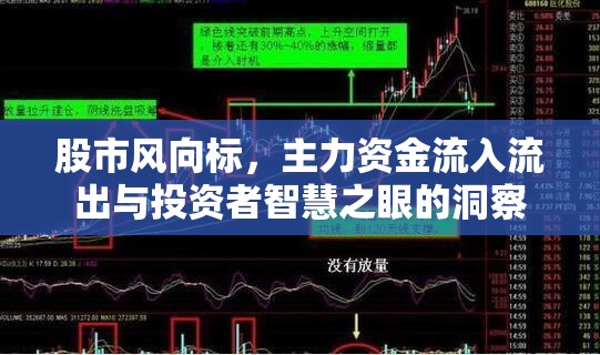 股市洞察，主力資金動(dòng)向與投資者智慧的交匯