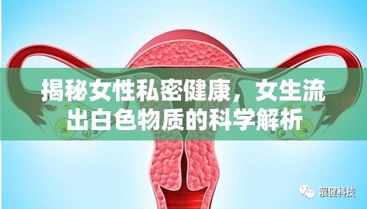 揭秘女性私密健康，女生流出白色物質(zhì)的科學解析