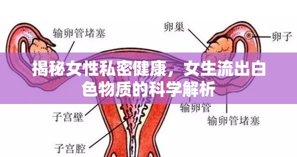 揭秘女性私密健康，女生流出白色物質(zhì)的科學解析