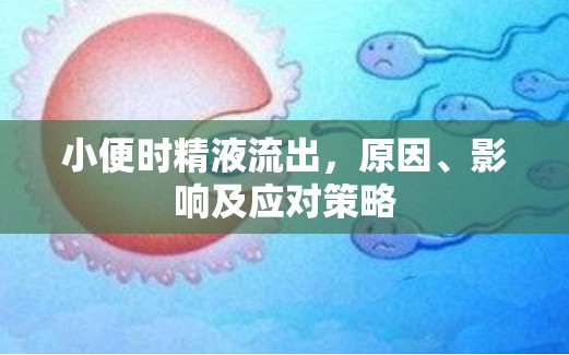 小便時(shí)精液流出，原因、影響及應(yīng)對策略