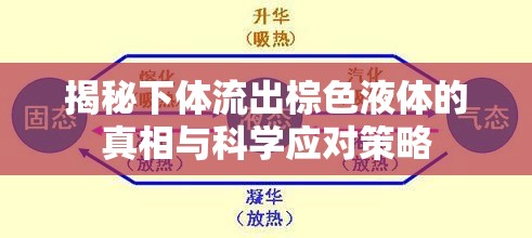 探索下體棕色液體之謎，原因、影響及科學(xué)處理方法