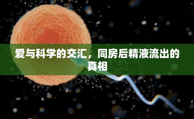 愛(ài)與科學(xué)的交匯，同房后精液流出的真相