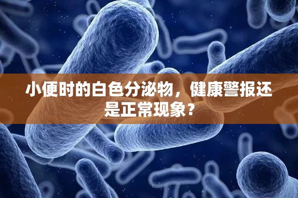 小便時的白色分泌物，健康警報還是正?，F(xiàn)象？