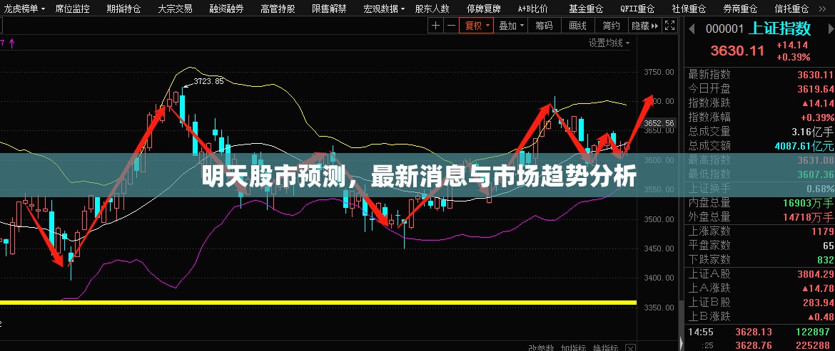 明日股市展望，最新動態(tài)與市場趨勢深度解析