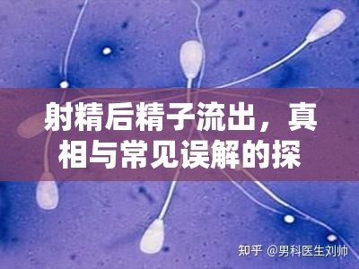 射精后精子流出，真相與常見誤解的探討