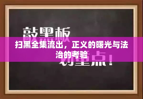 正義與法治的較量，掃黑全集泄露事件