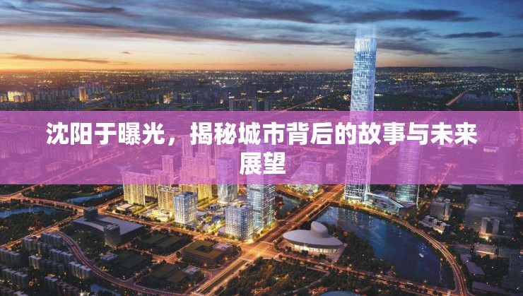 沈陽于曝光，揭秘城市背后的故事與未來展望